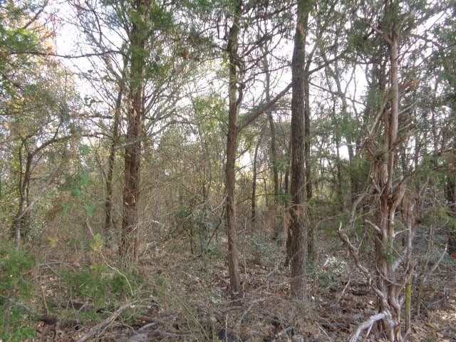 6.74 acres in Wood County - photo 7