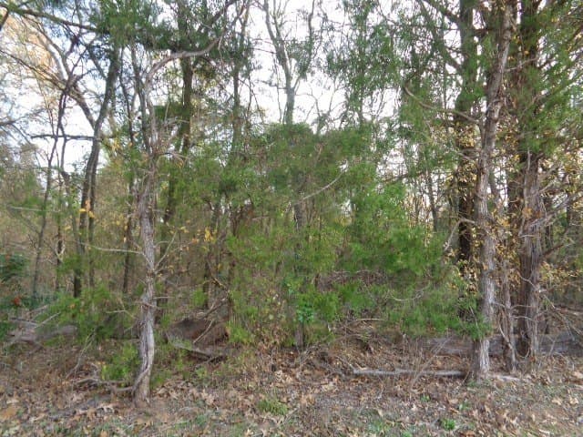 6.74 acres in Wood County - photo 8