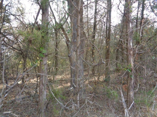 6.74 acres in Wood County gallery image 4