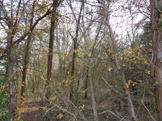 6.74 acres in Wood County featured view