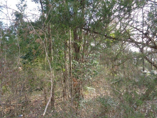 6.74 acres in Wood County