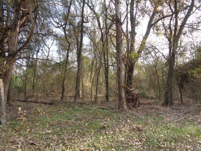 6.74 acres in Wood County gallery image 3