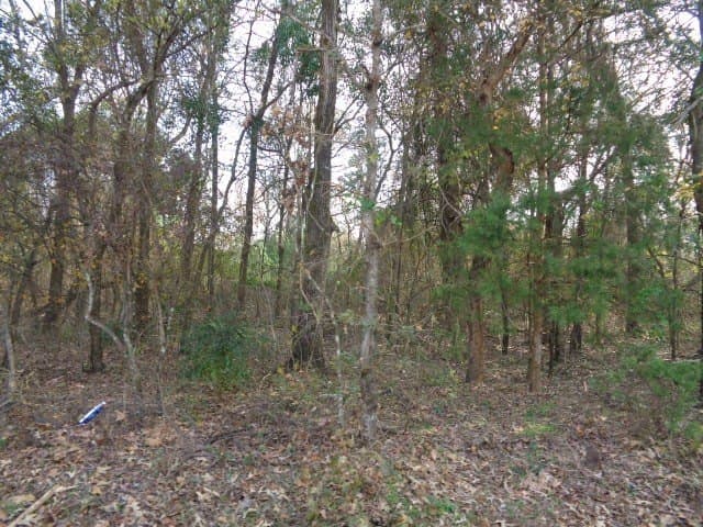6.74 acres in Wood County - photo 9