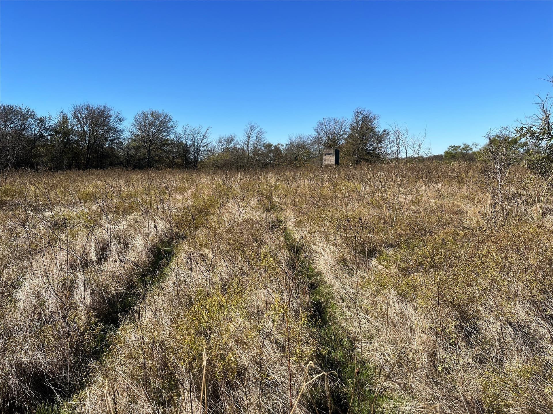 22.38 acres in Grayson County gallery image 2