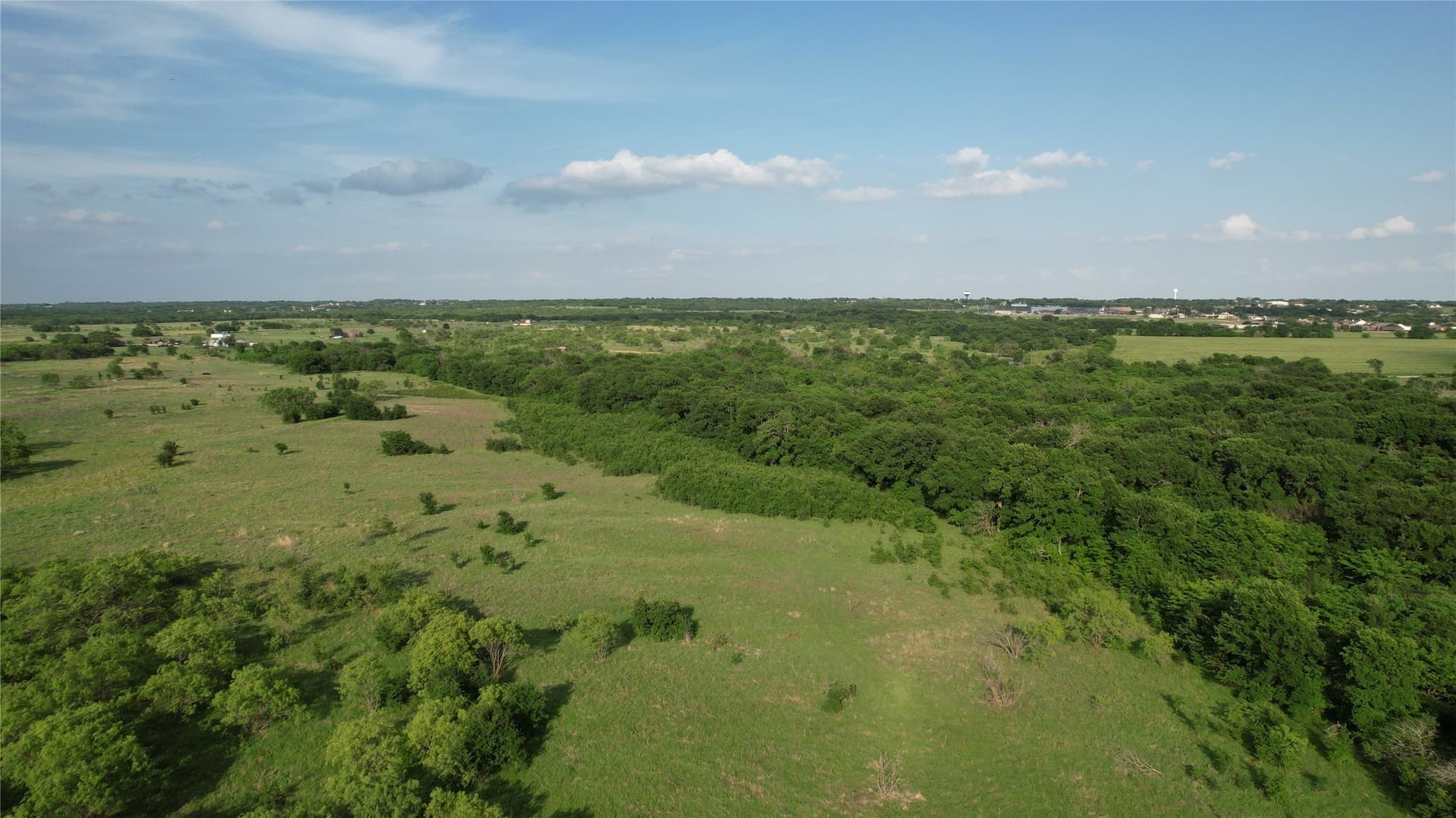22.38 acres in Grayson County gallery image 4