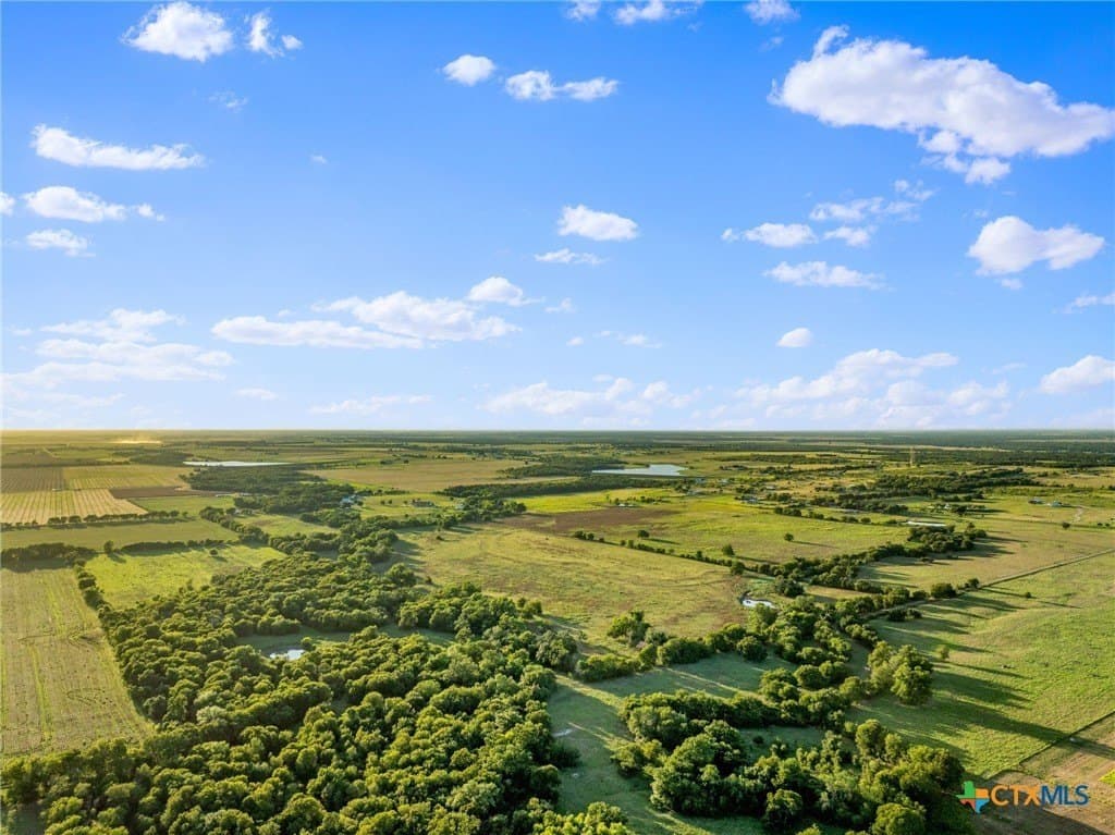 52.63 acres in Bell County gallery image 2