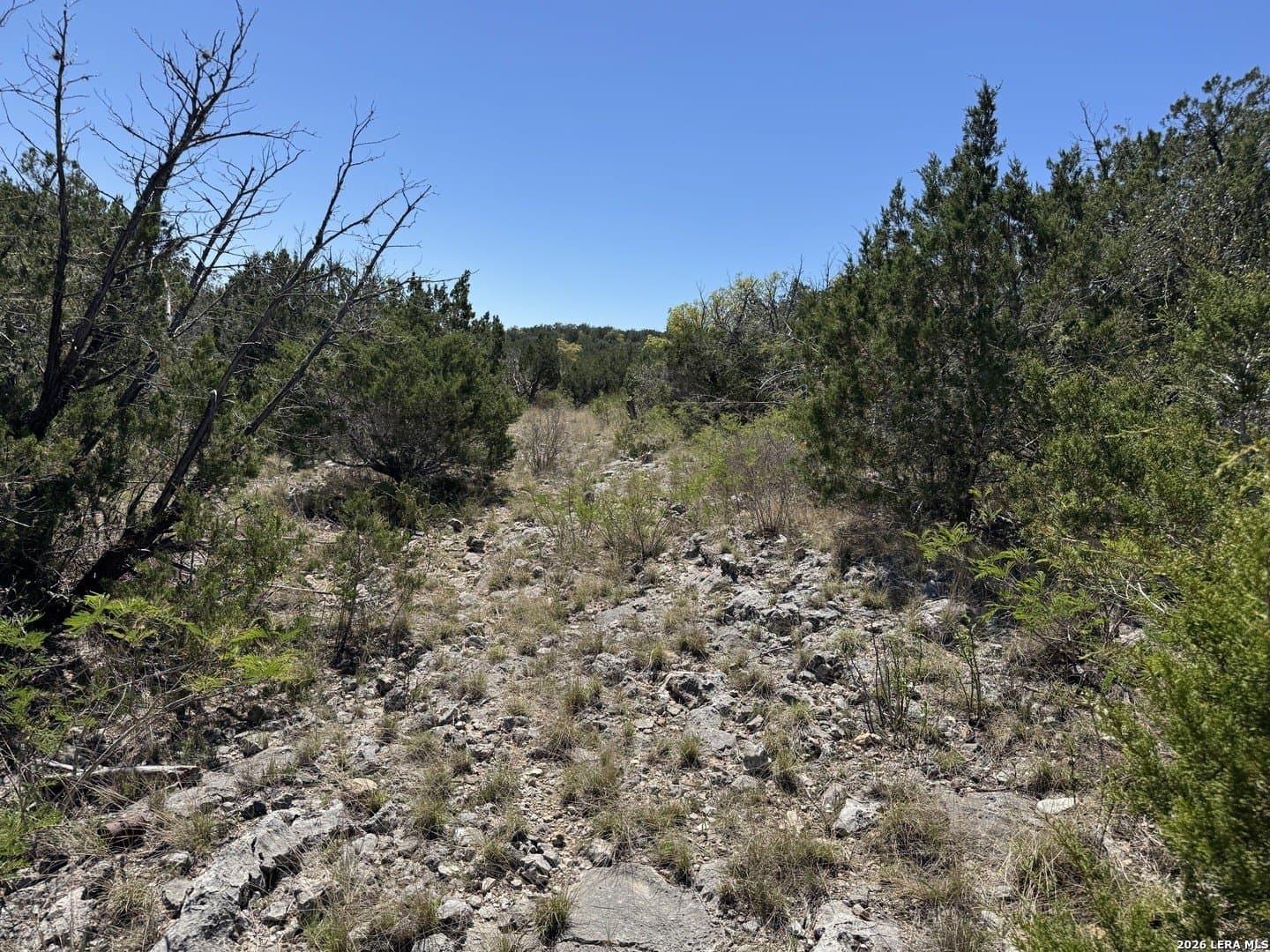 22.02 acres in Uvalde County - photo 3