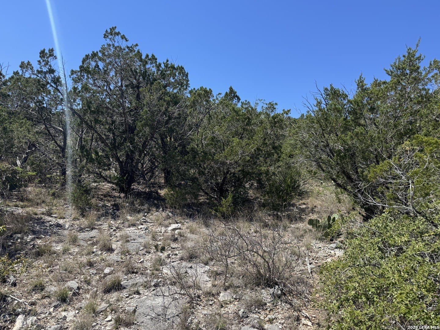 22.02 acres in Uvalde County - photo 8