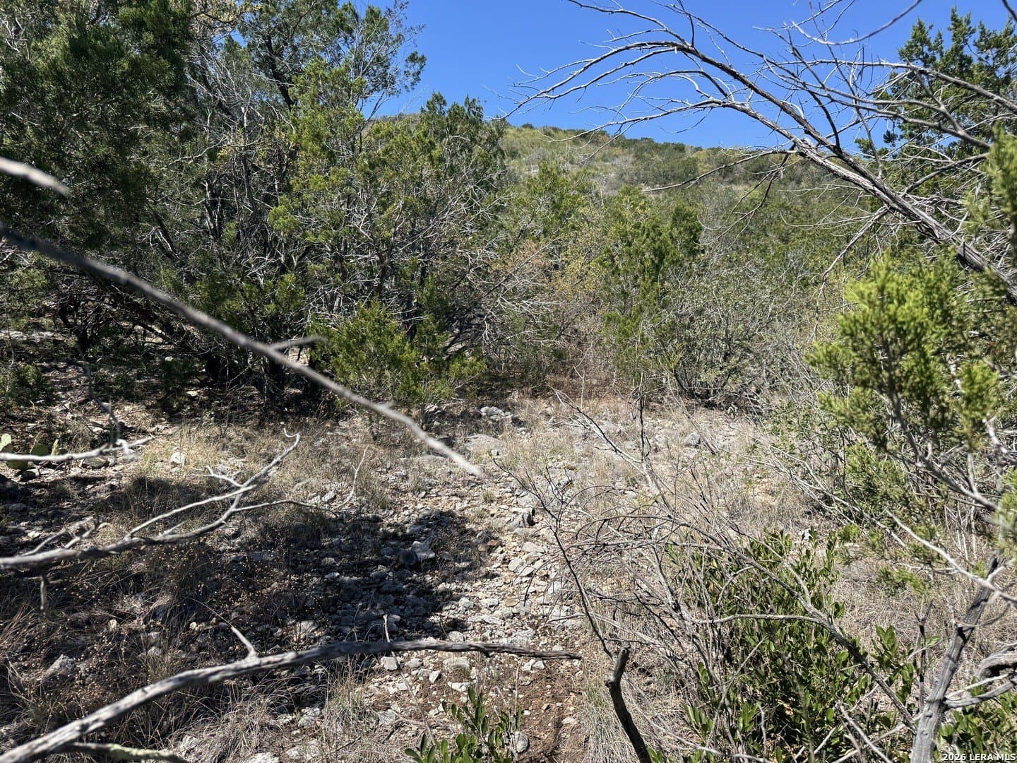22.02 acres in Uvalde County - photo 6