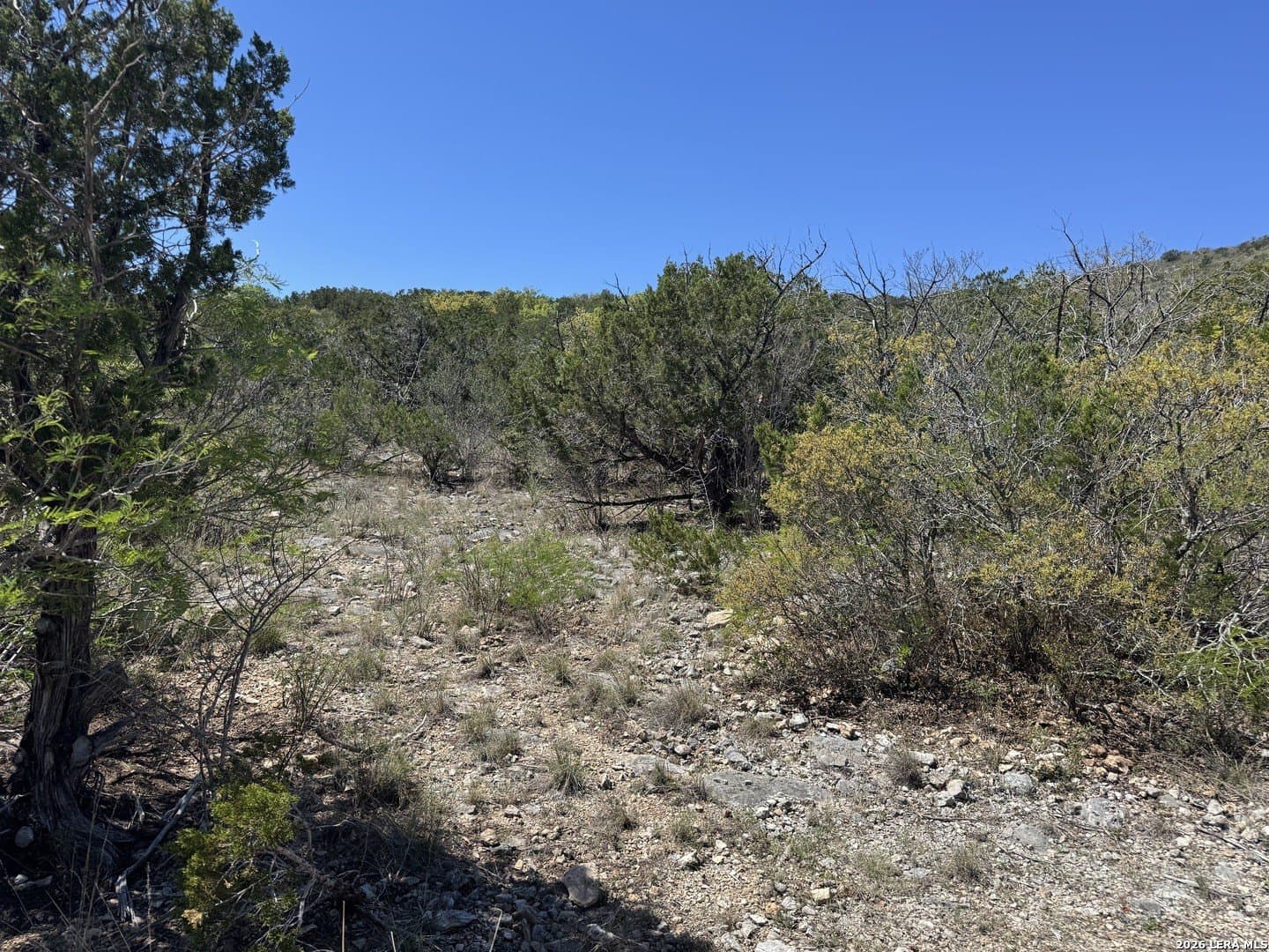 22.02 acres in Uvalde County - photo 7