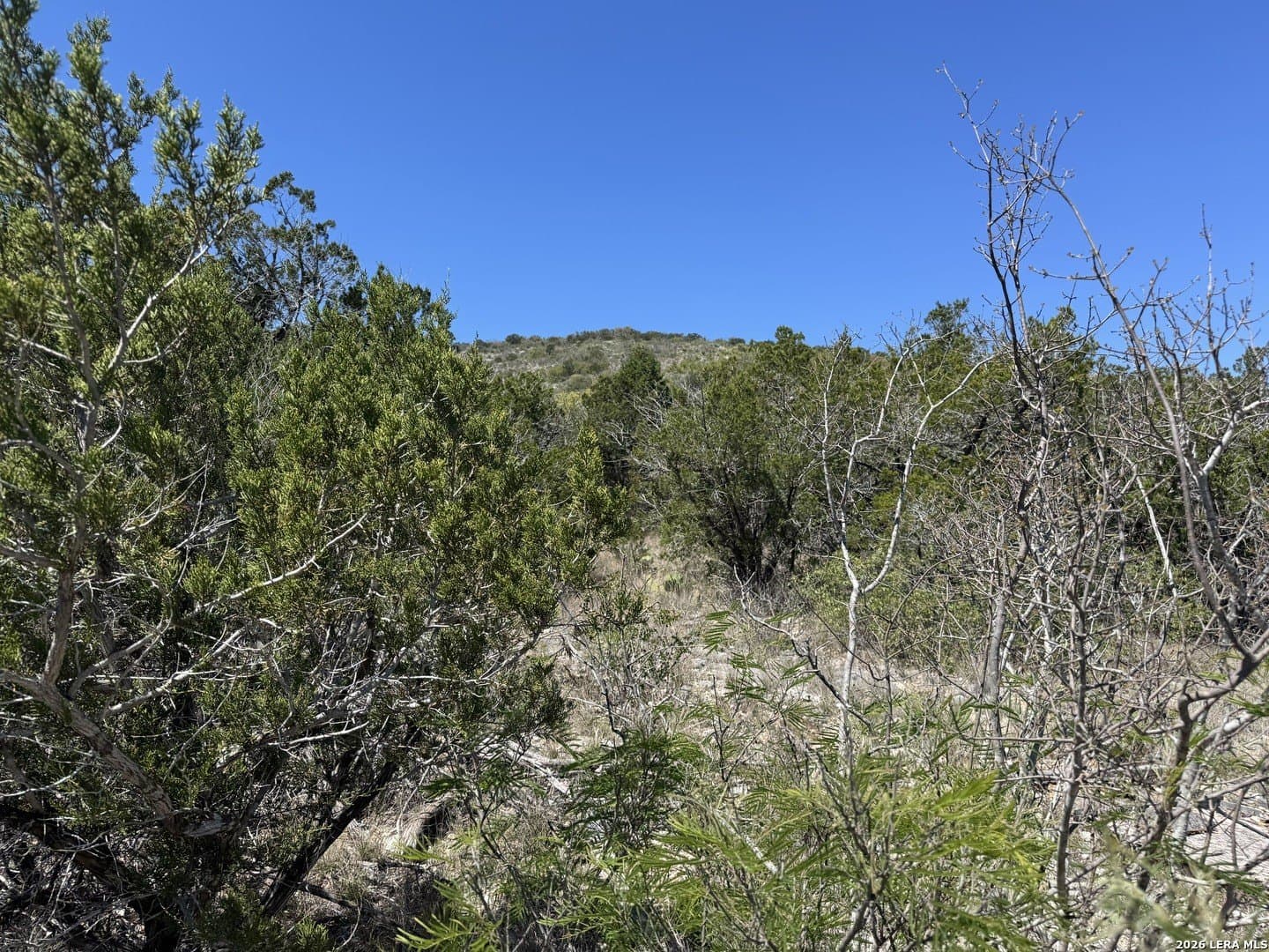 22.02 acres in Uvalde County - photo 4