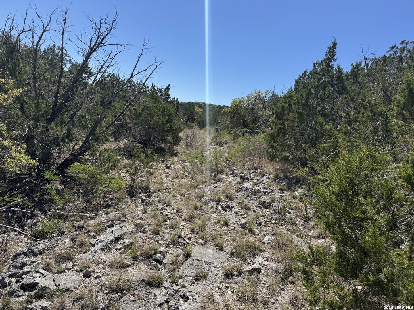 22.02 acres in Uvalde County - photo 9
