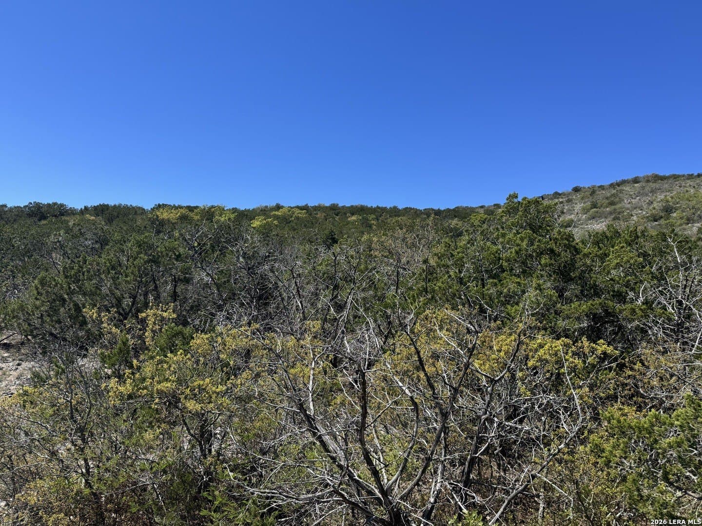 22.02 acres in Uvalde County - photo 5