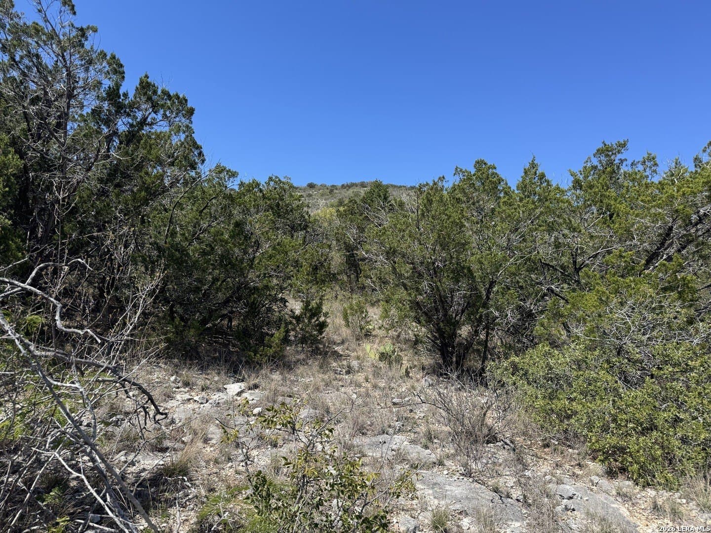 22.02 acres in Uvalde County - photo 2
