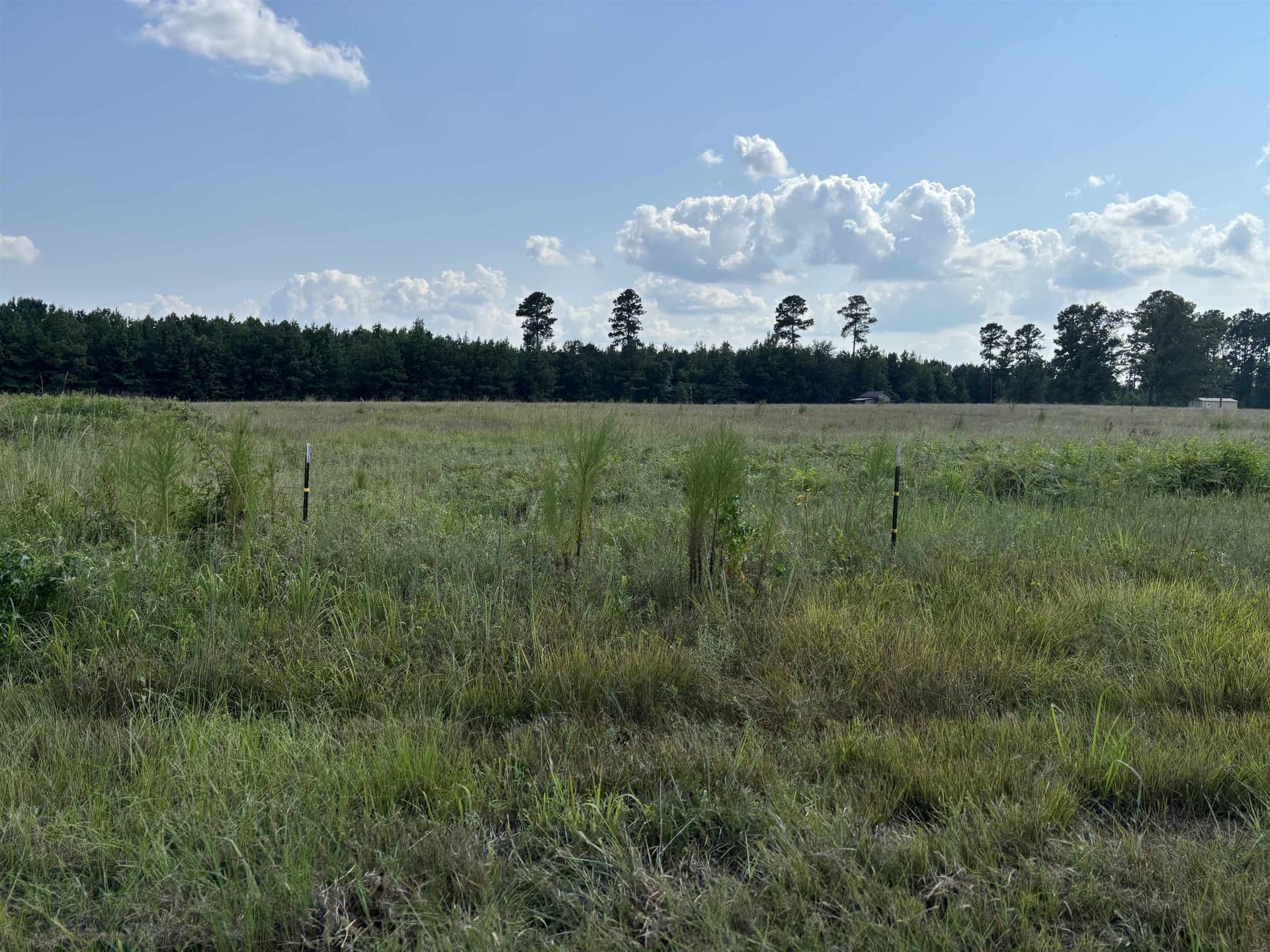 6.62 acres in Marion County