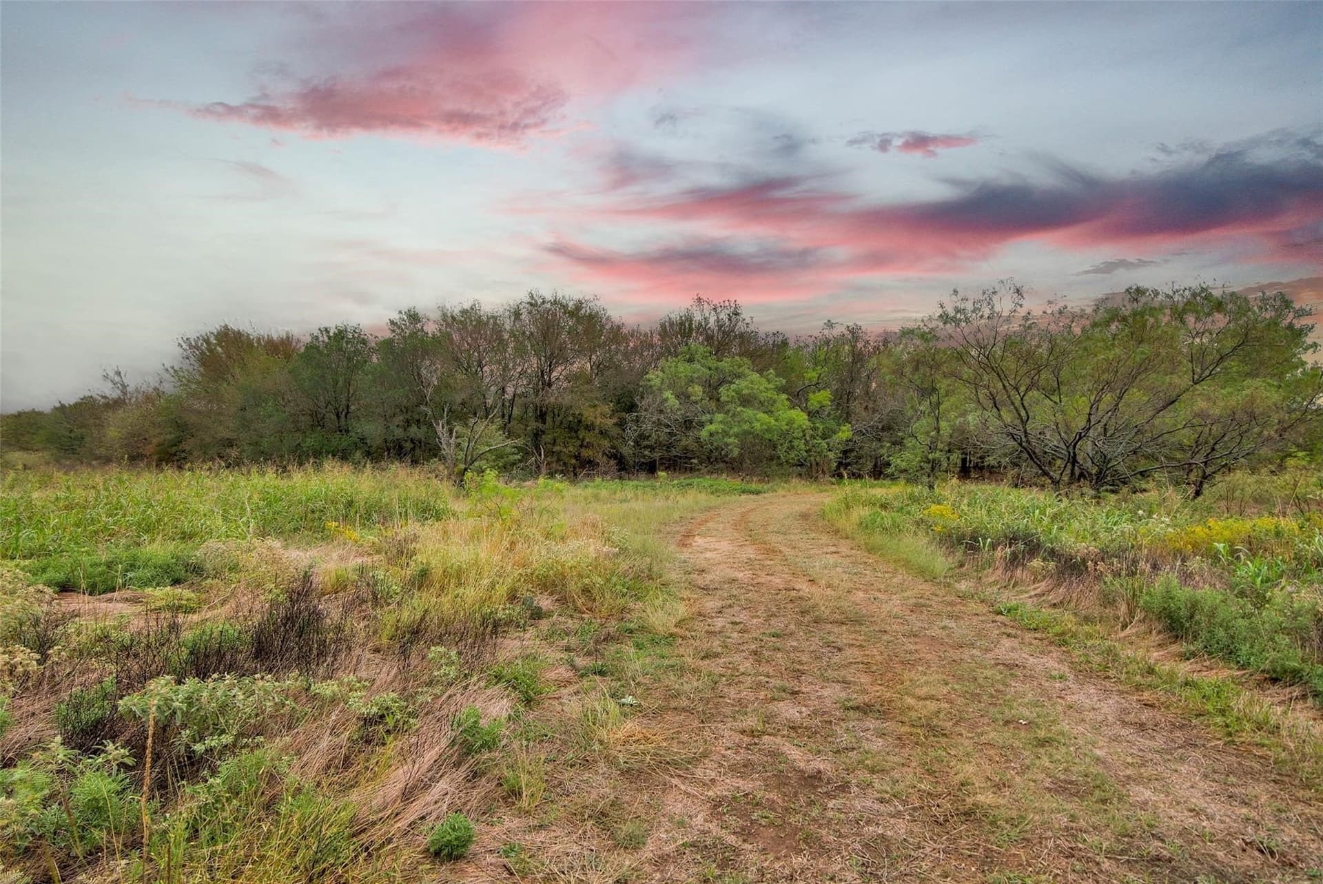 15.91 acres in Grayson County - photo 9