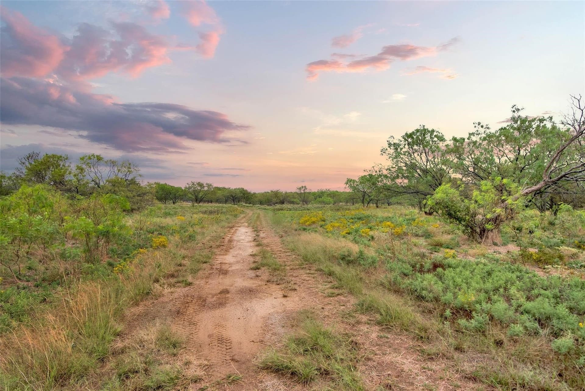 15.91 acres in Grayson County - photo 8