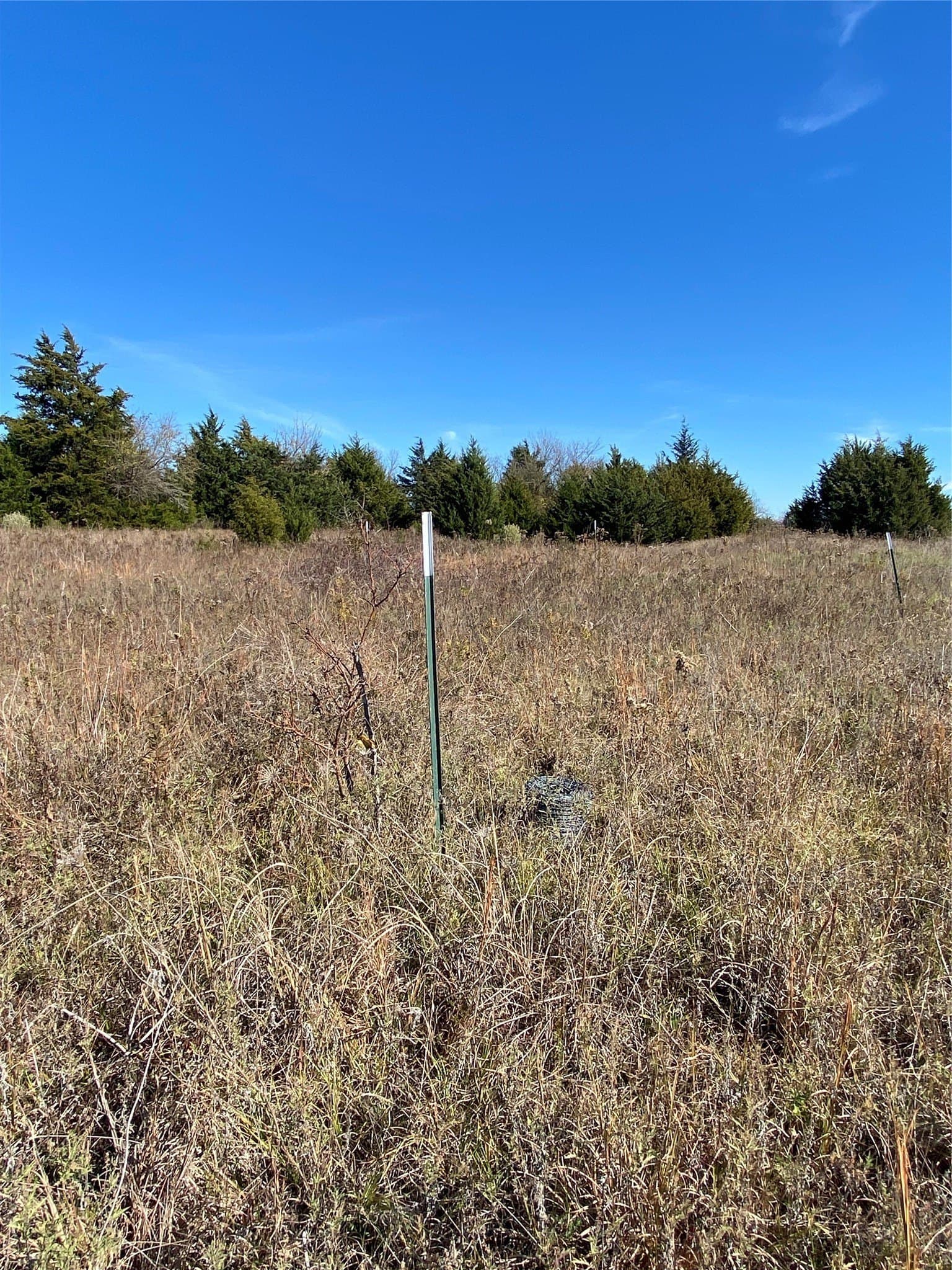 15 acres in Fannin County - photo 12