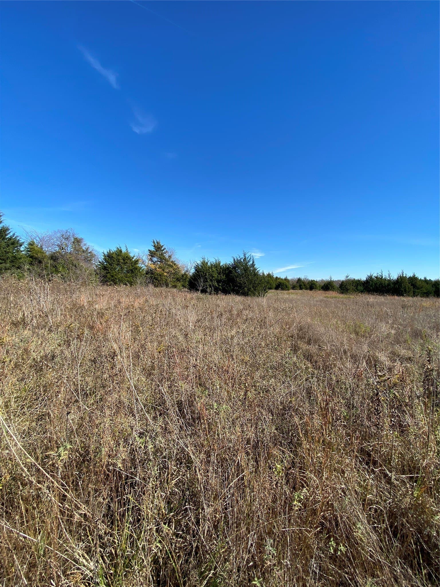 15 acres in Fannin County - photo 5