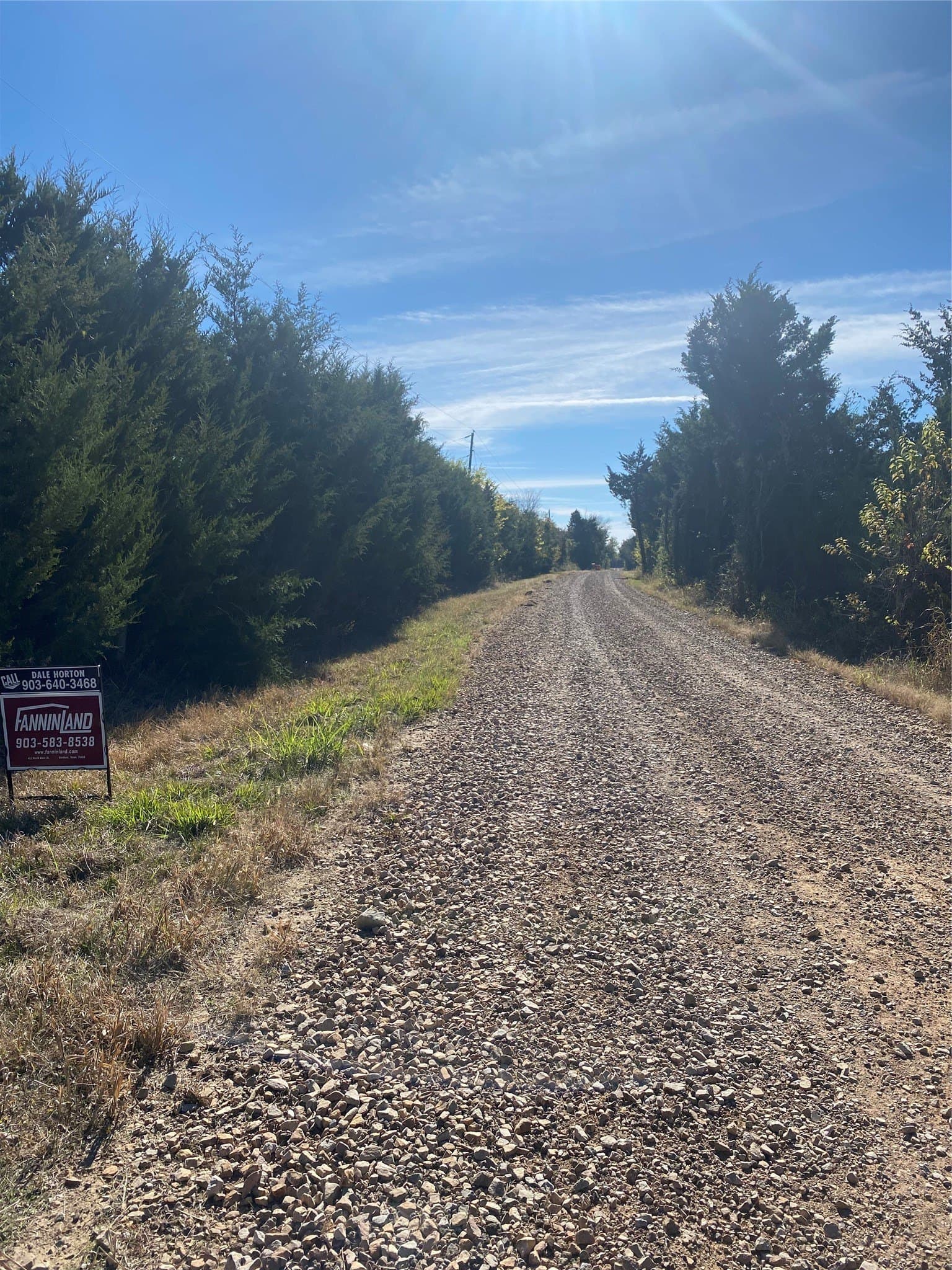 15 acres in Fannin County - photo 15