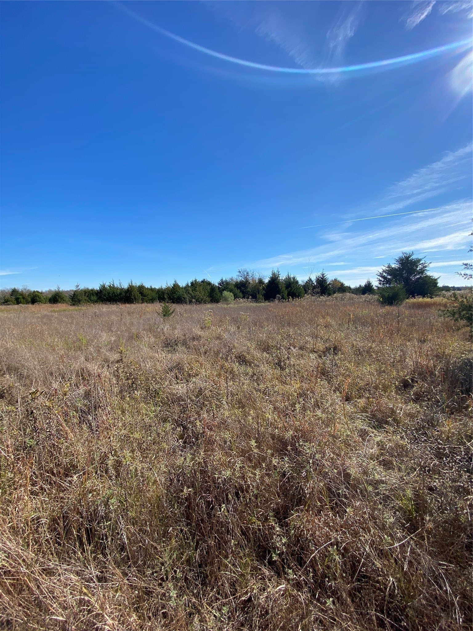 15 acres in Fannin County - photo 6