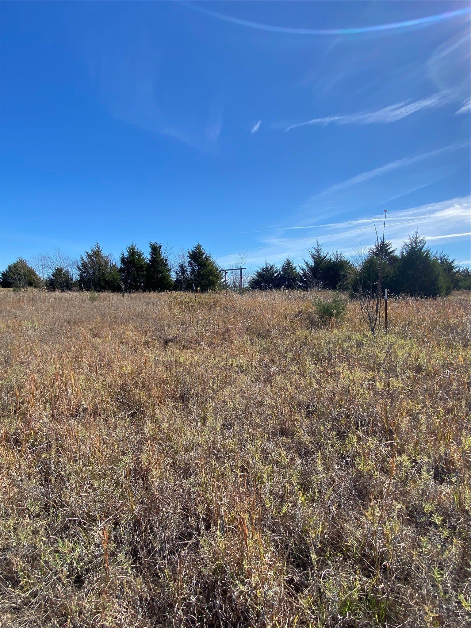 15 acres in Fannin County - photo 13