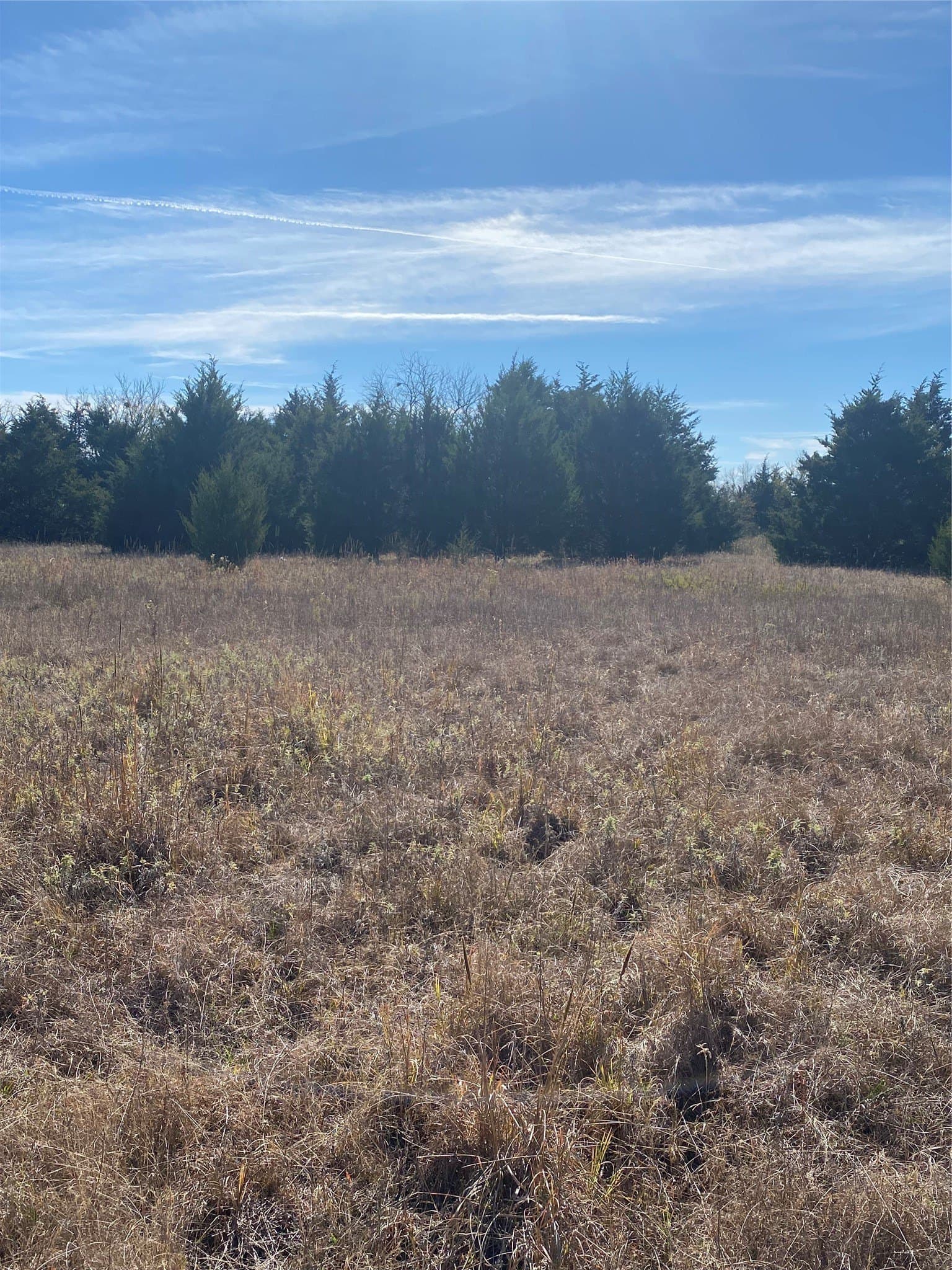 15 acres in Fannin County - photo 9