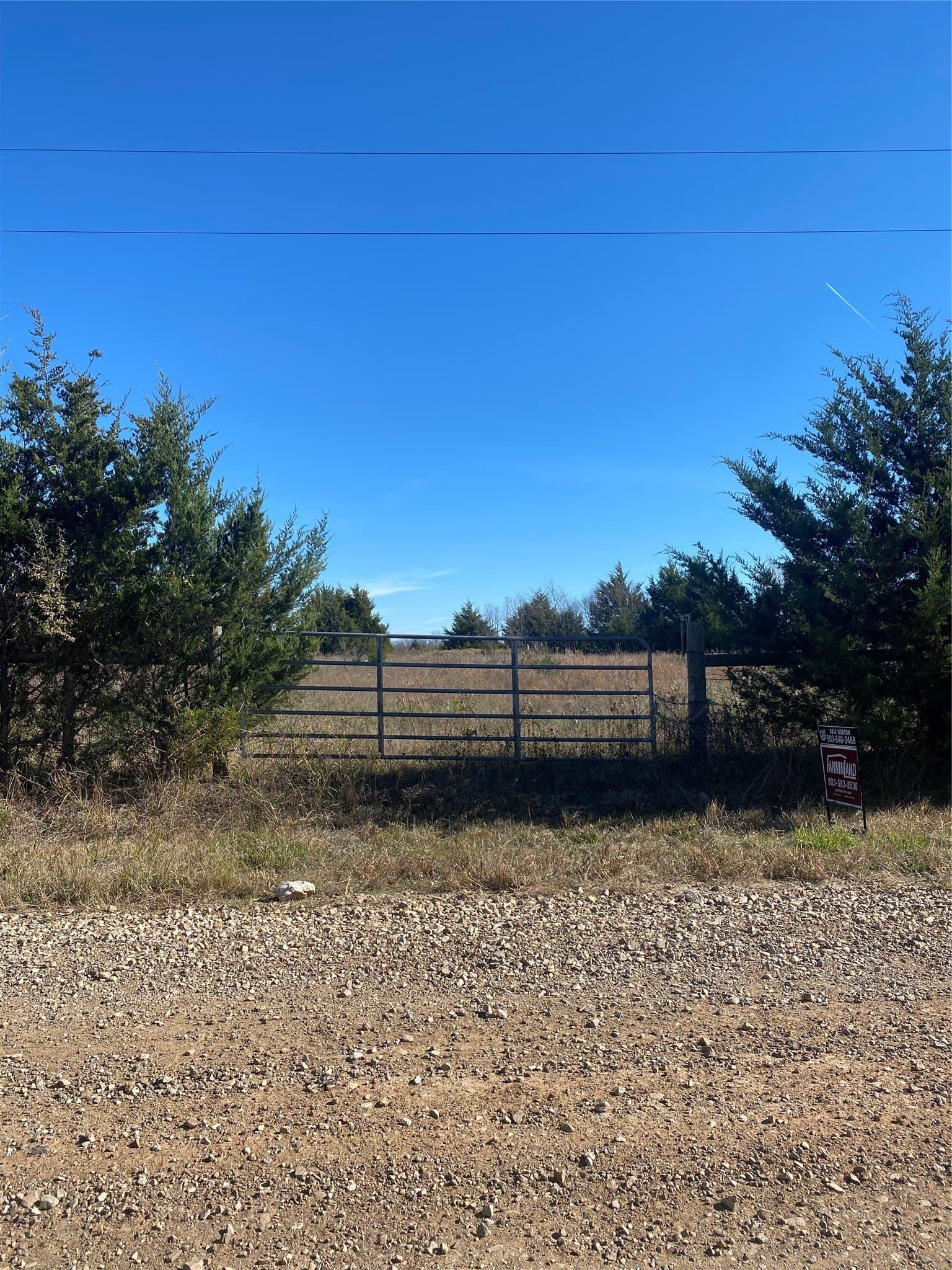 15 acres in Fannin County - photo 2