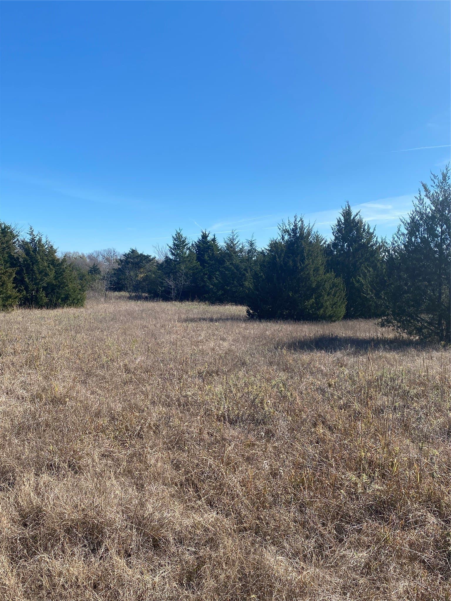 15 acres in Fannin County - photo 8