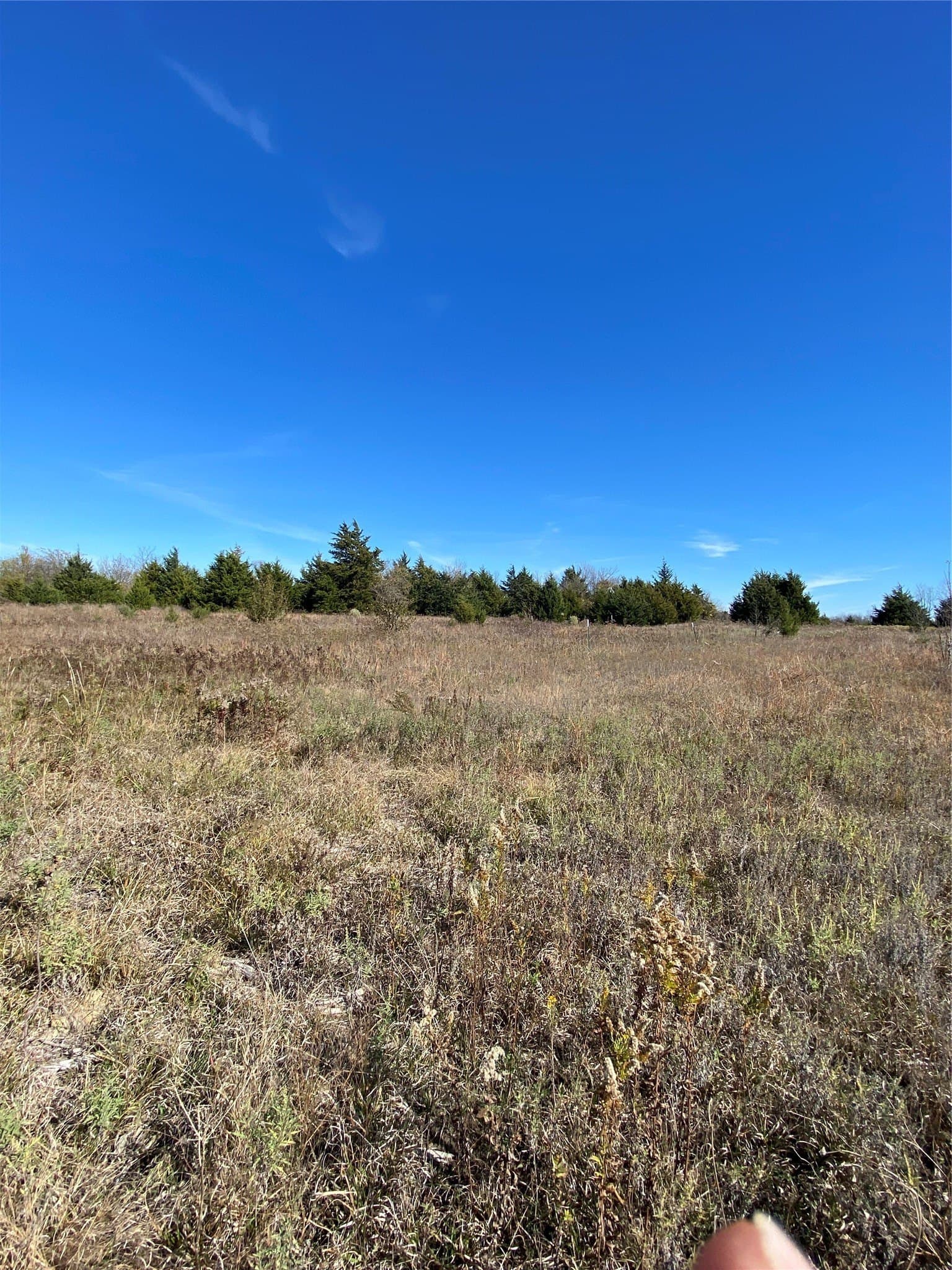 15 acres in Fannin County - photo 3