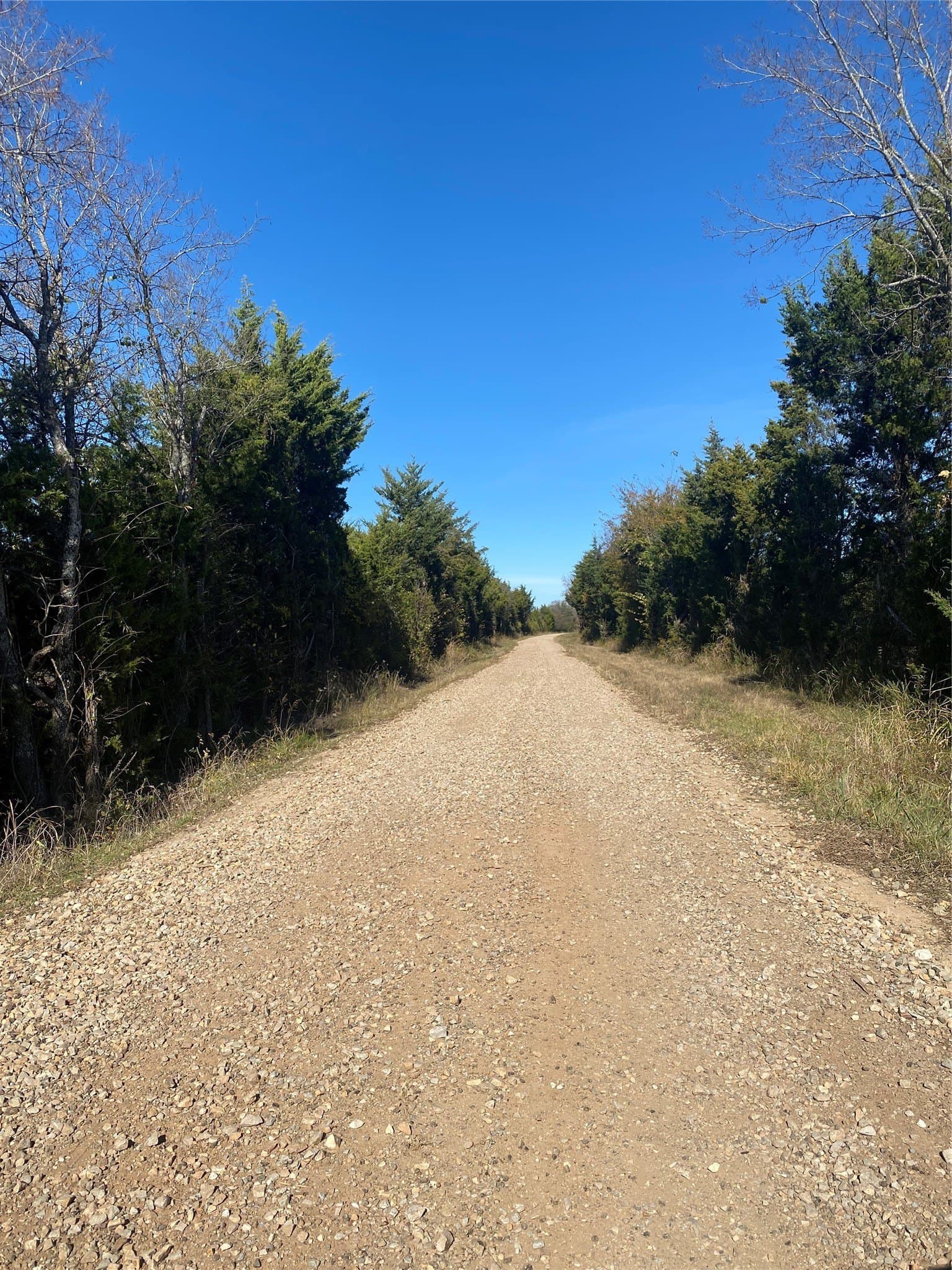 15 acres in Fannin County - photo 14