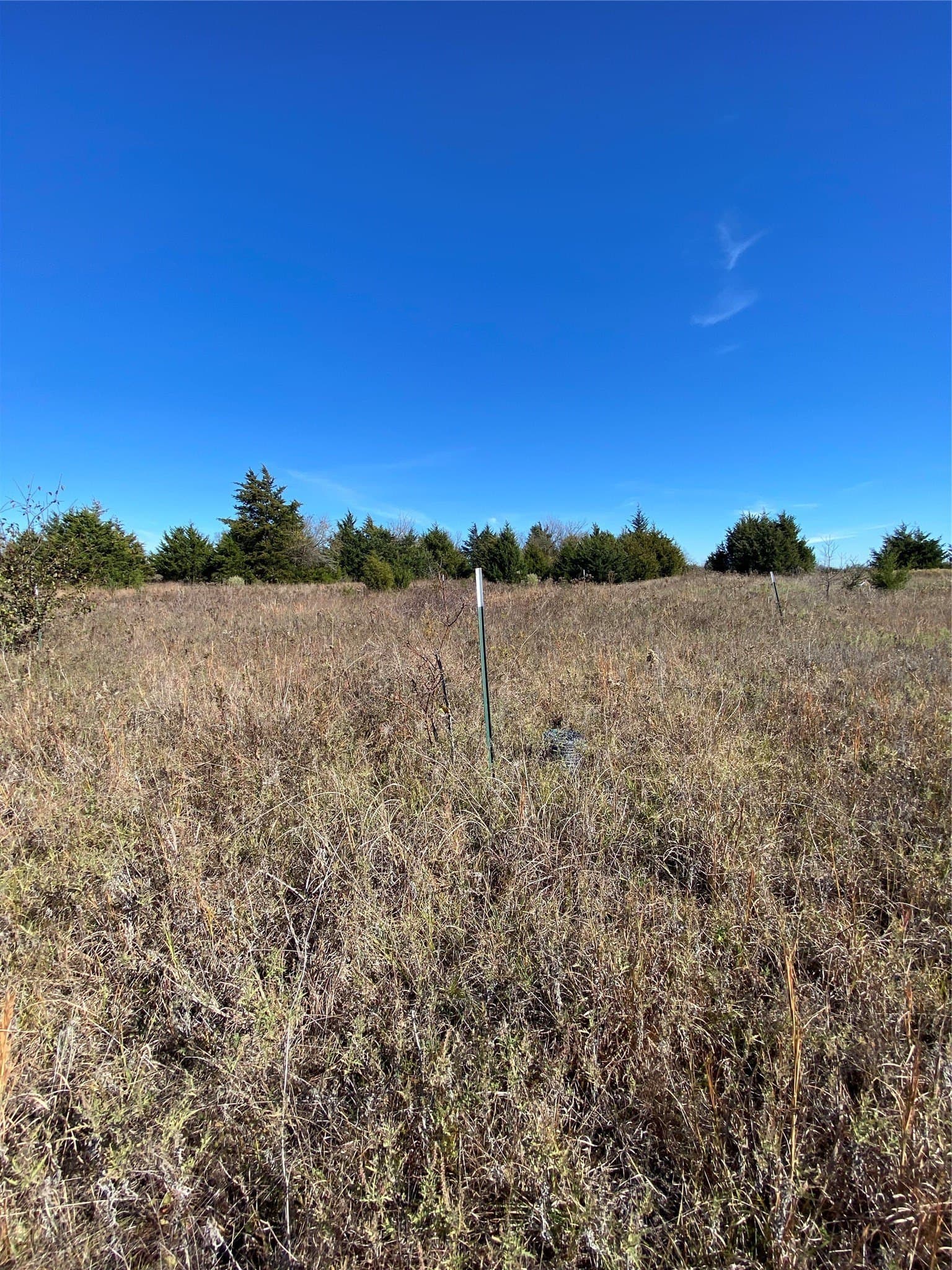 15 acres in Fannin County - photo 11
