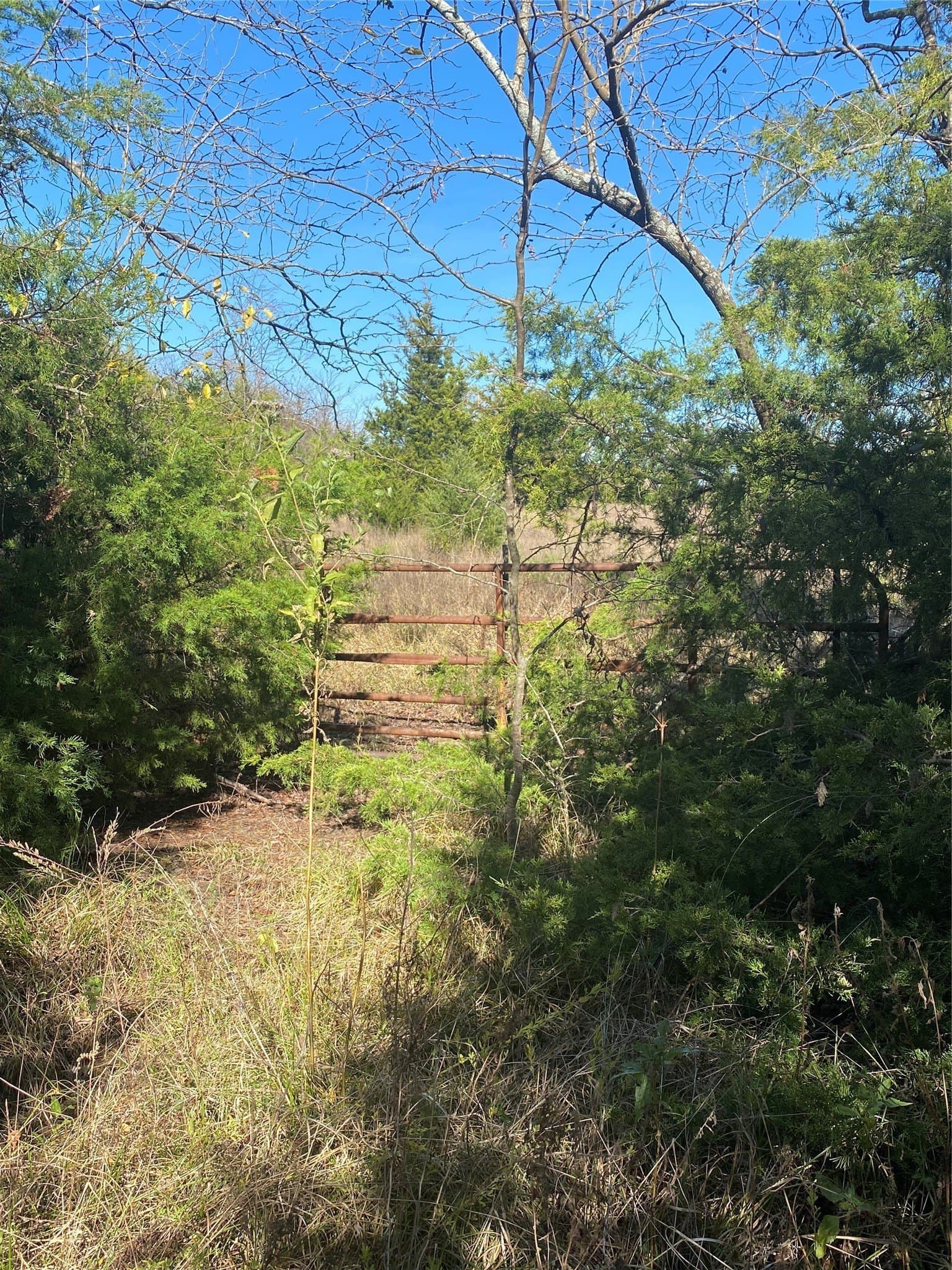 15 acres in Fannin County - photo 10