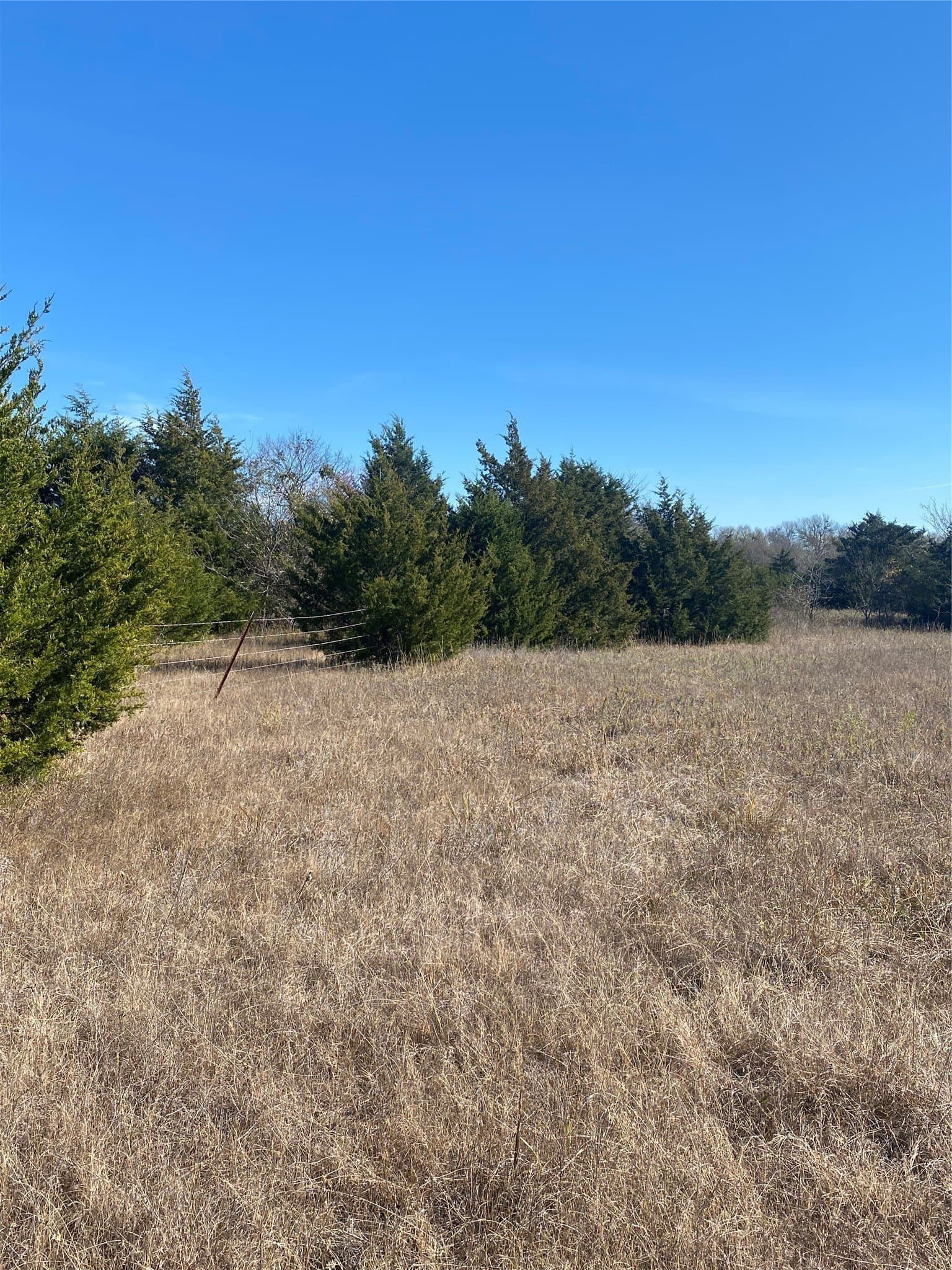 15 acres in Fannin County - photo 7