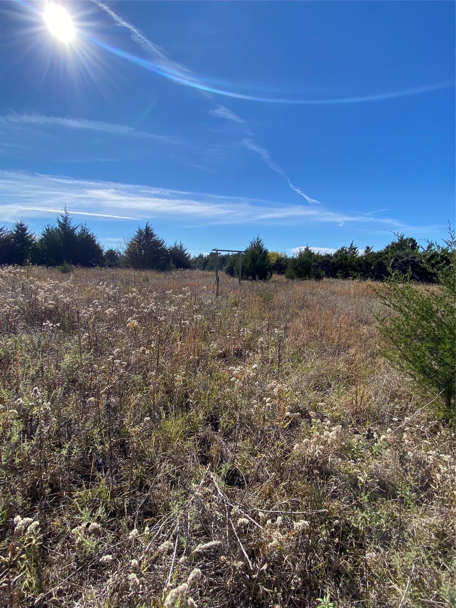 15 acres in Fannin County - photo 4