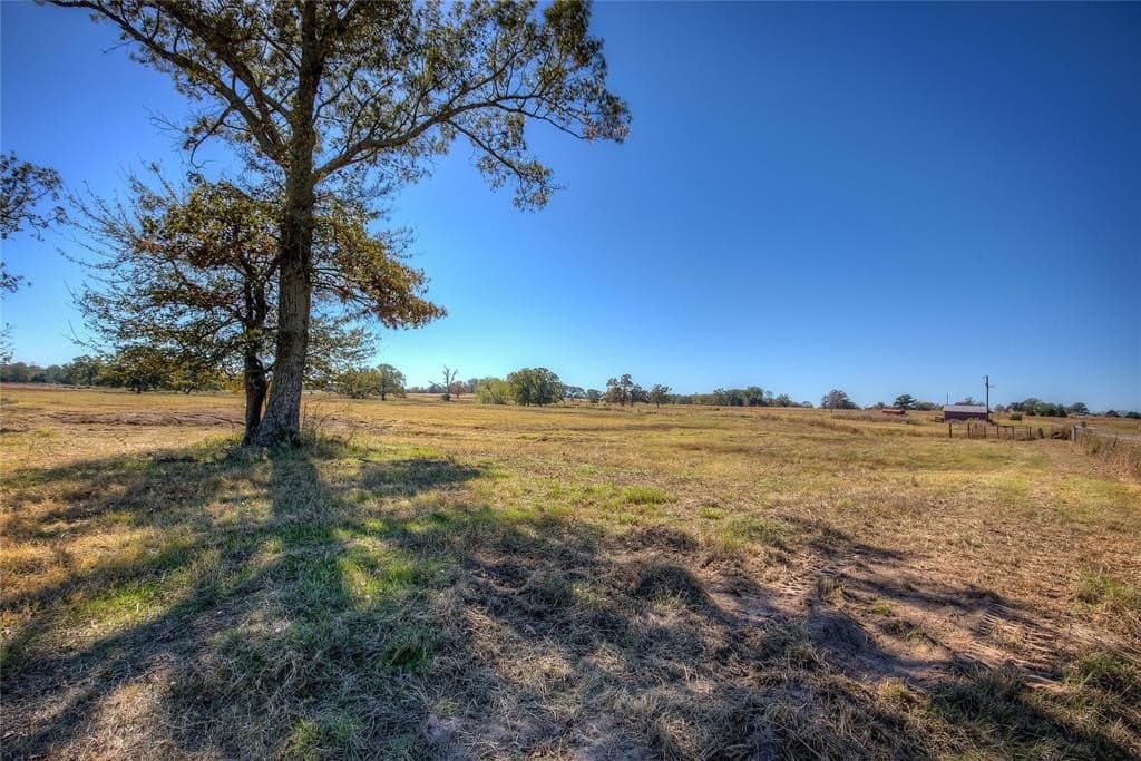 17.77 acres in Wood County gallery image 3