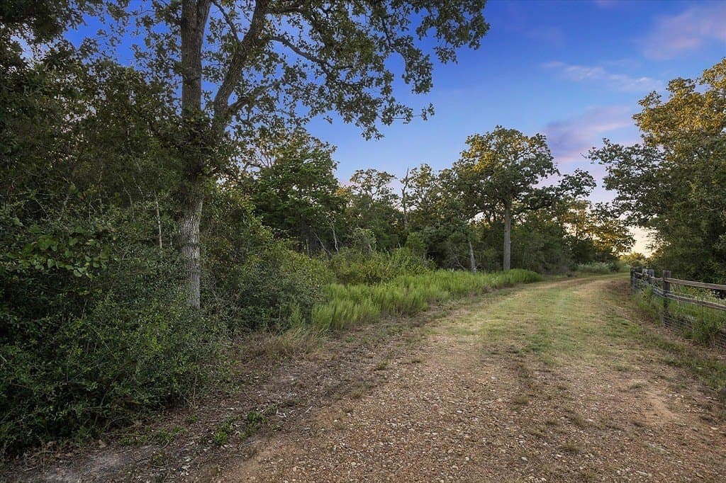 12.03 acres in Fayette County - photo 26