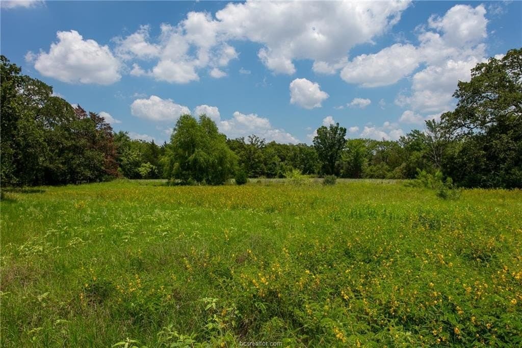 78.85 acres in Brazos County - photo 15