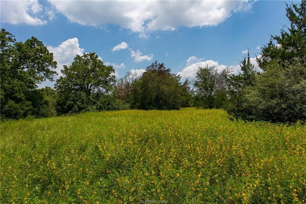 78.85 acres in Brazos County - photo 17