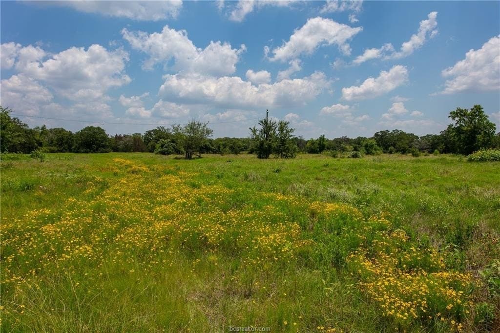 78.85 acres in Brazos County - photo 11
