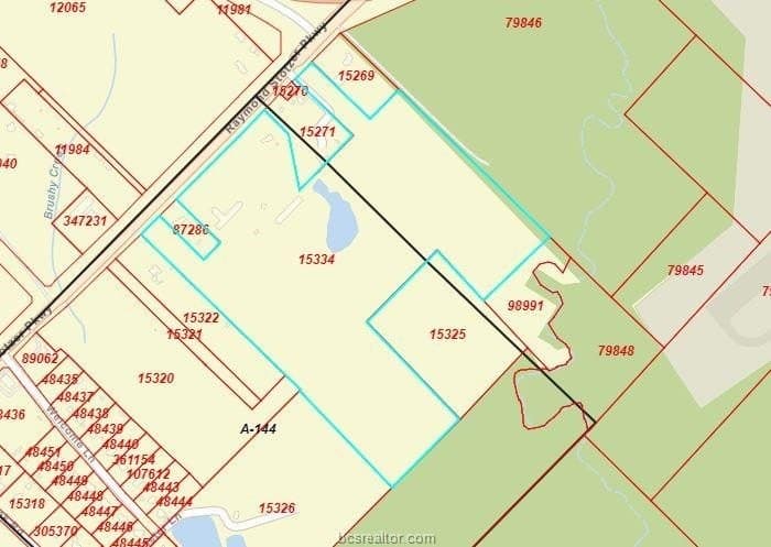78.85 acres in Brazos County - photo 22