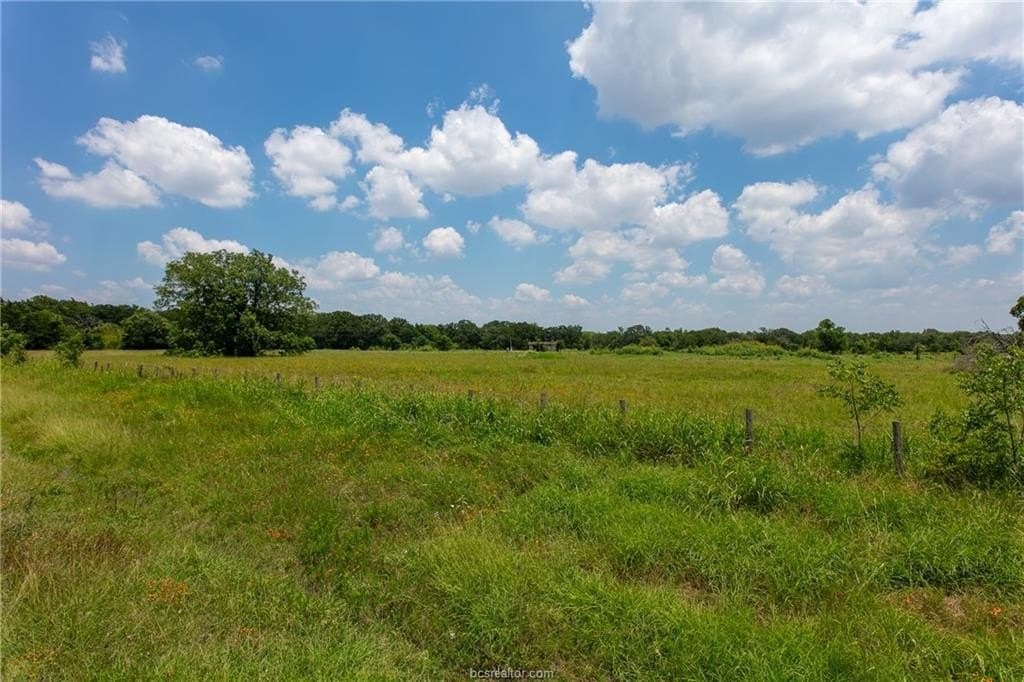 78.85 acres in Brazos County - photo 8