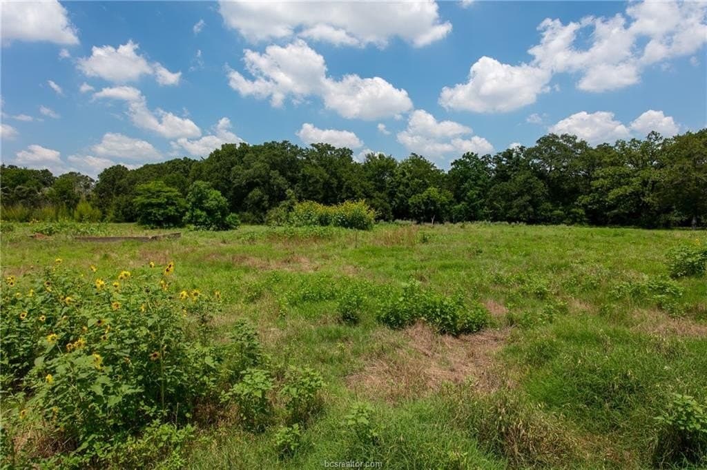 78.85 acres in Brazos County - photo 13