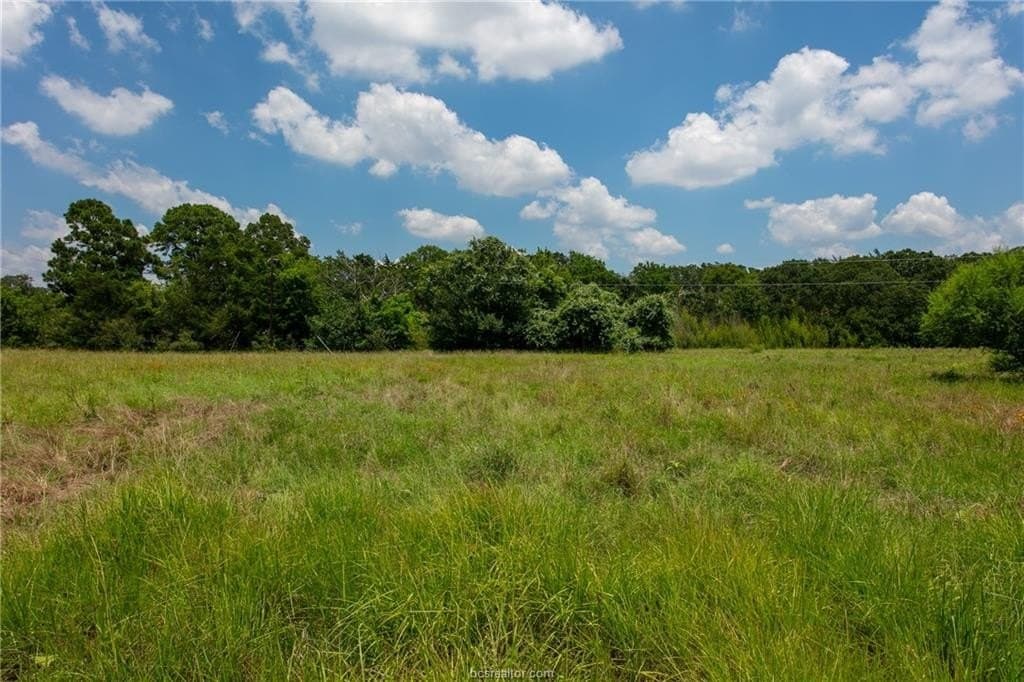 78.85 acres in Brazos County - photo 9