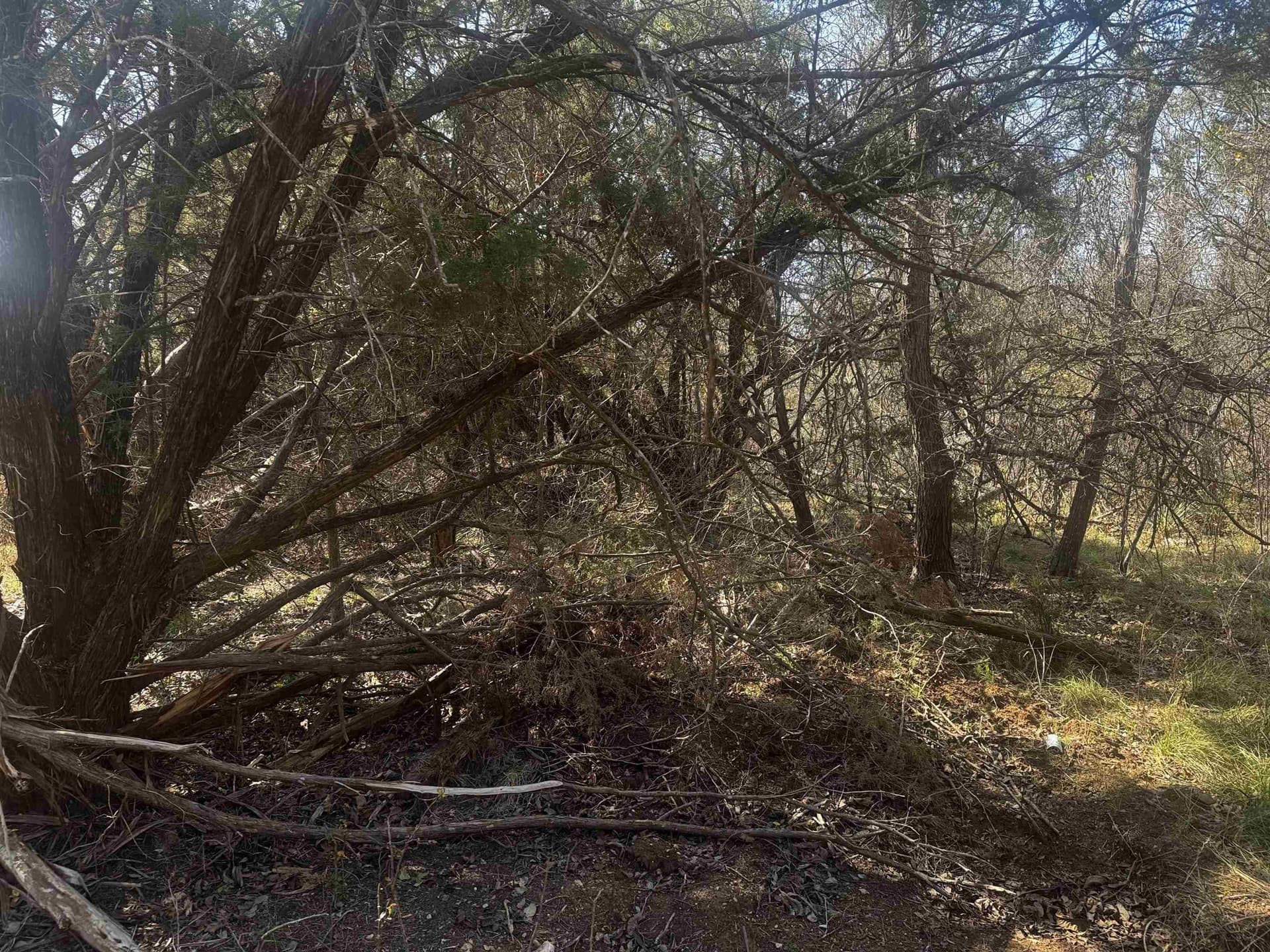 0.17 acres in Burnet County featured view