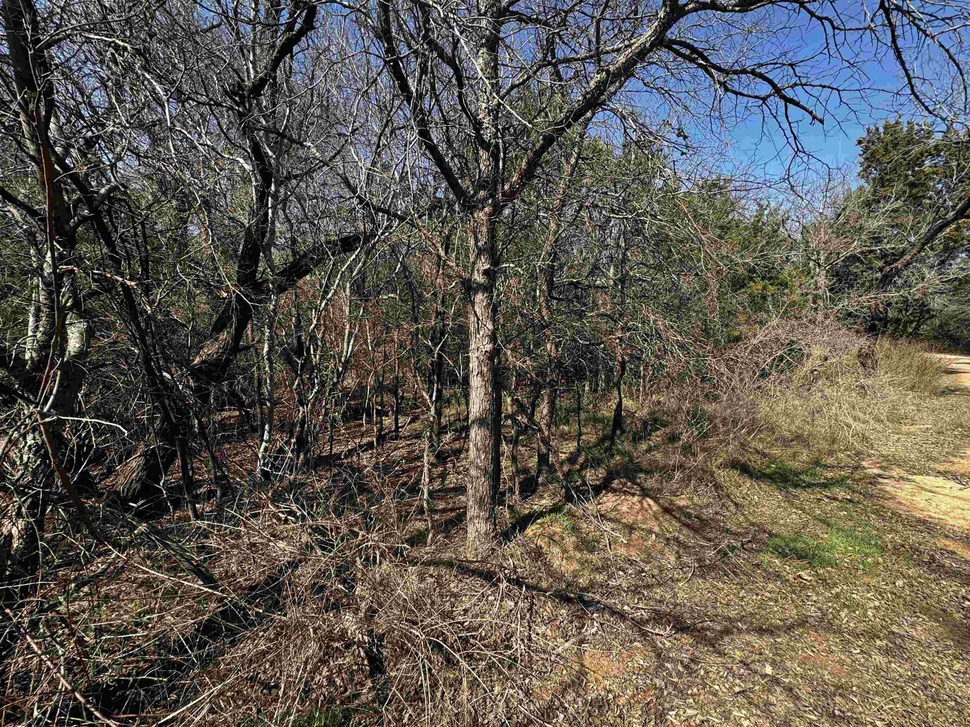 0.17 acres in Burnet County gallery image 2