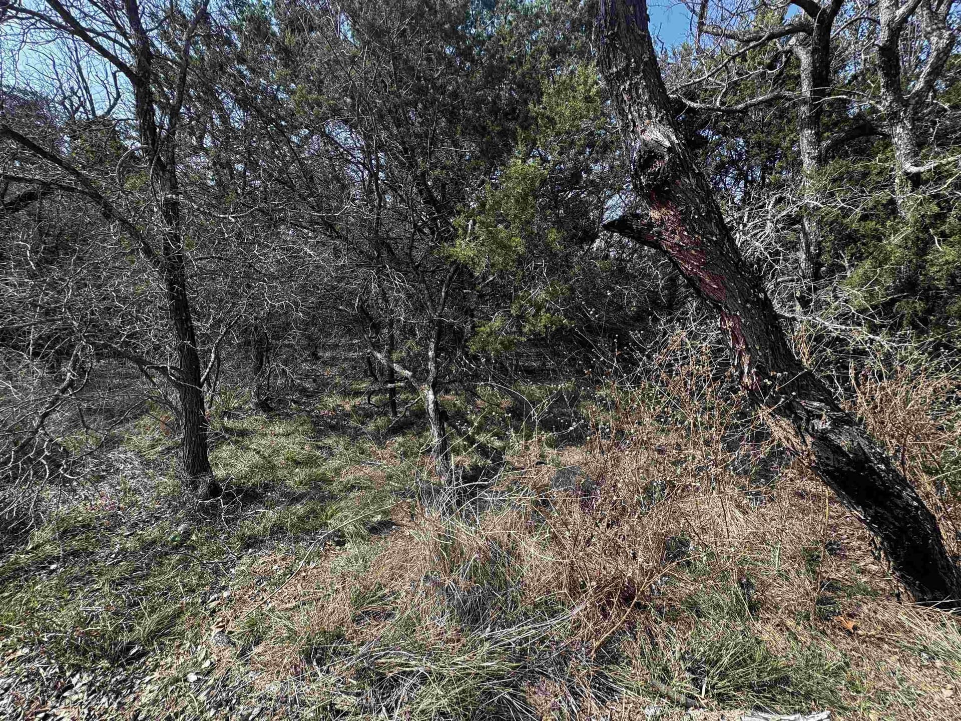 0.17 acres in Burnet County - photo 10