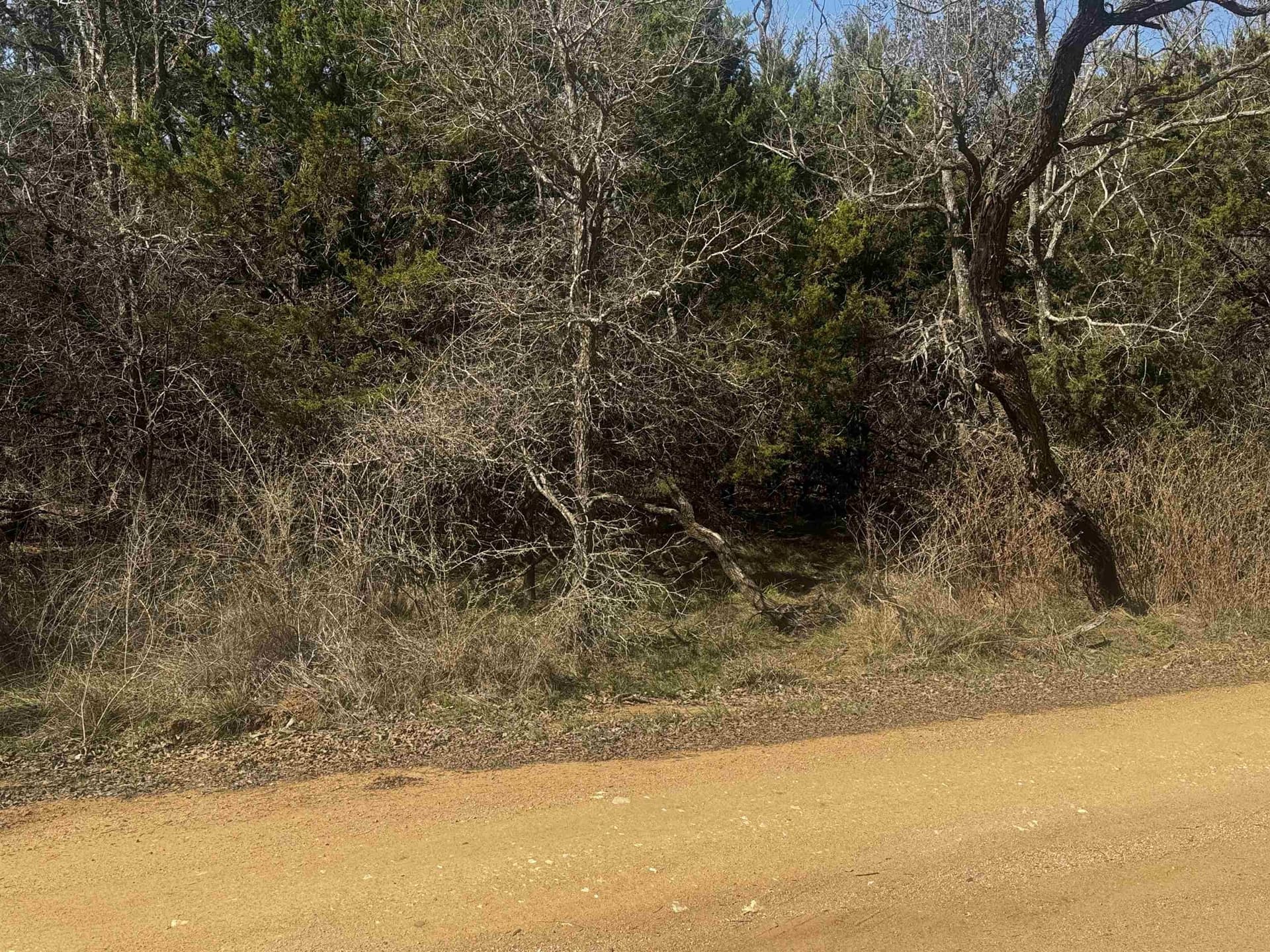 0.17 acres in Burnet County - photo 7