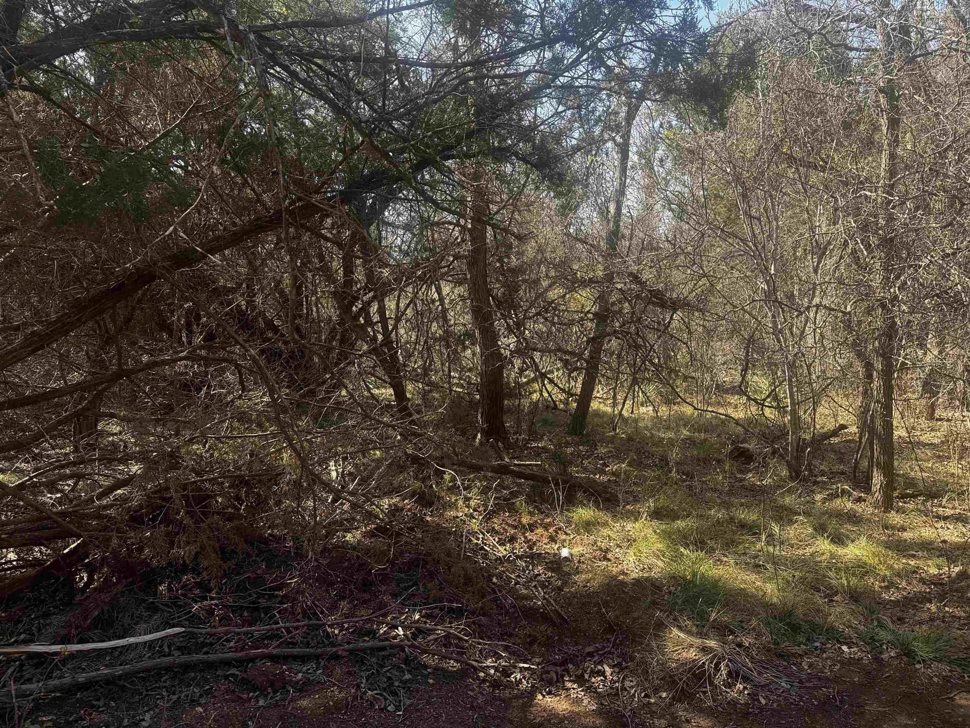 0.17 acres in Burnet County - photo 11