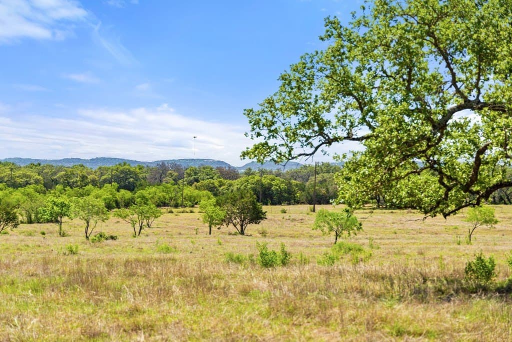 69 acres in Blanco County gallery image 3